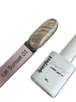 iPerfect Sunset cat color gel 10g - 01