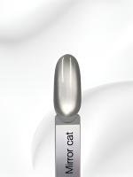 iPerfect Mirror cat color gel 10g
