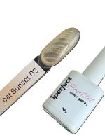 iPerfect Sunset cat color gel 10g - 02
