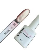 iPerfect Nude cat color gel 10g - 09