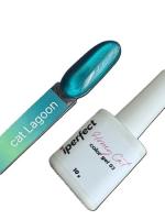 iPerfect Lagoon cat color gel 10g