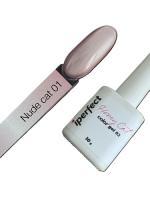 iPerfect Nude cat color gel 10g - 01