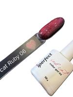 iPerfect Ruby cat color gel 10g - 06