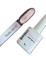 iPerfect Nude cat color gel 10g - 07