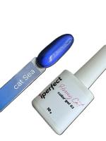 iPerfect Sea cat color gel 10g