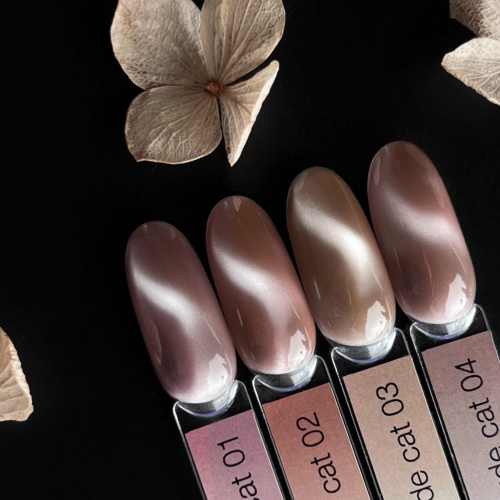 iPerfect Nude cat color gel 10g - 04