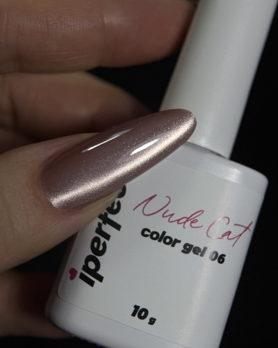 iPerfect Nude cat color gel 10g - 06