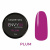 I Envy You, Color Gel 07 Plum (13g)