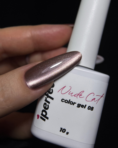 iPerfect Nude cat color gel 10g - 08