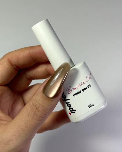 iPerfect Brownie cat color gel 10g - 01