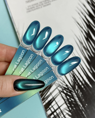 iPerfect Lagoon cat color gel 10g