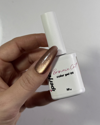 iPerfect Brownie cat color gel 10g - 05