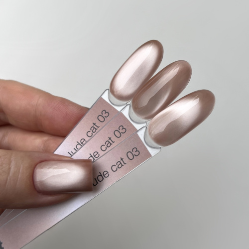 iPerfect Nude cat color gel 10g - 03