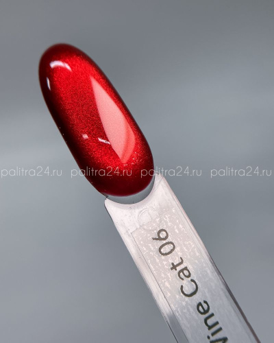 Wine cat color gel 10g - 06