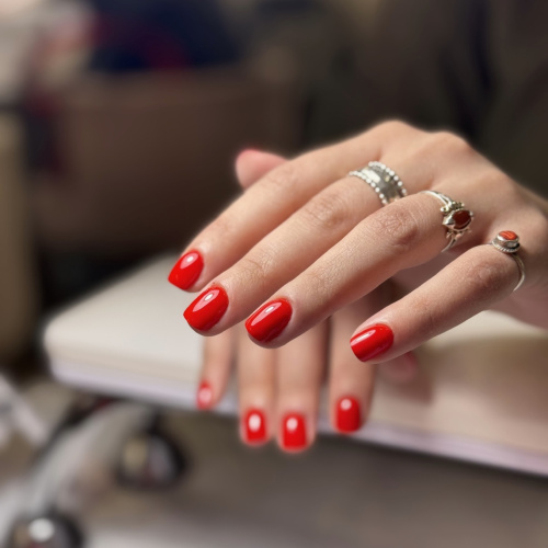 SMART GEL POLISH "CLASSIC" THE BEST