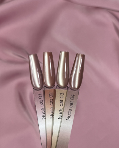 iPerfect Nude cat color gel 10g - 04