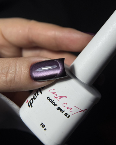 iPerfect Ink cat color gel 10g - 03