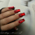 iPerfect Red vitrage color gel 10g
