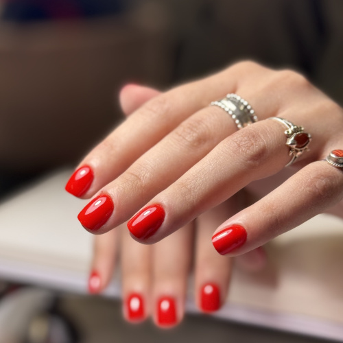 SMART GEL POLISH "CLASSIC" THE BEST