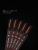 iPerfect Brown color gel 10g - 04
