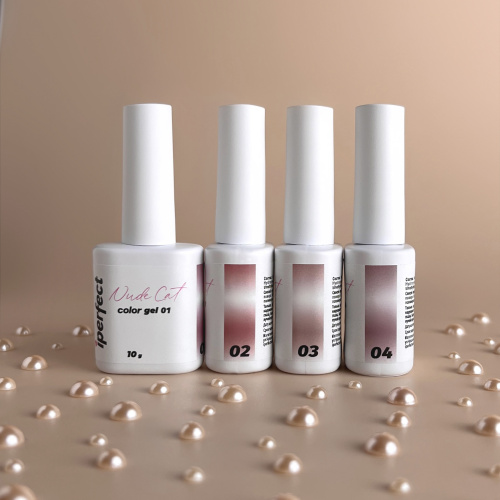iPerfect Nude cat color gel 10g - 04