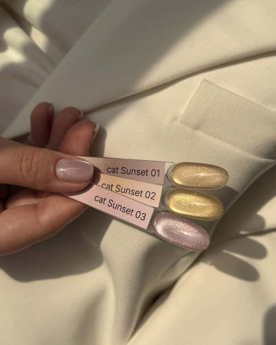 iPerfect Sunset cat color gel 10g - 03