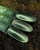 iPerfect Green color gel 10g - 02