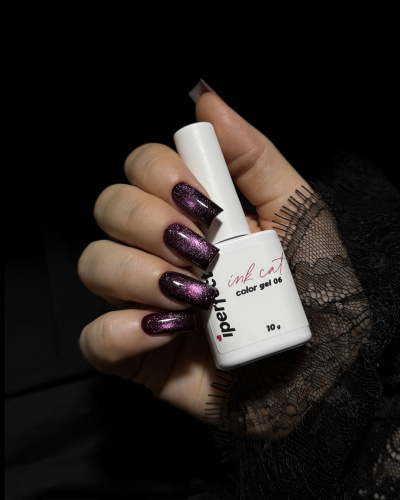 iPerfect Ink cat color gel 10g - 06