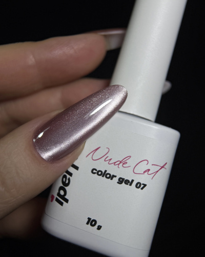iPerfect Nude cat color gel 10g - 07