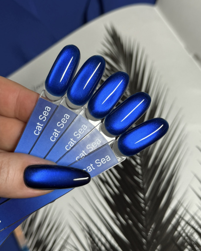 iPerfect Sea cat color gel 10g