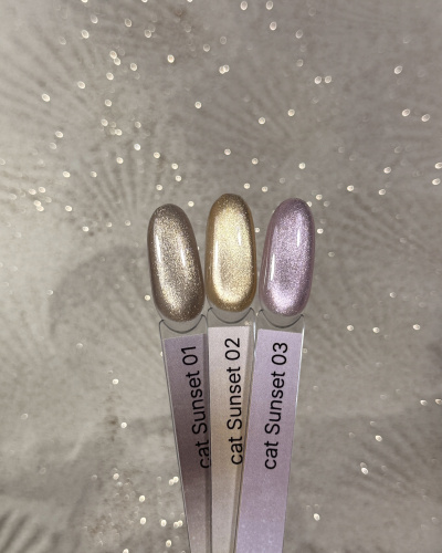 iPerfect Sunset cat color gel 10g - 02