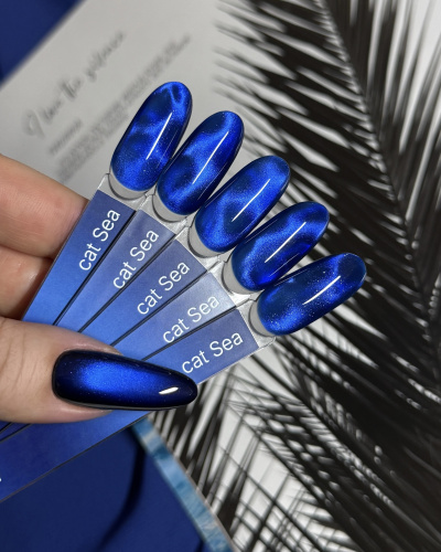 iPerfect Sea cat color gel 10g